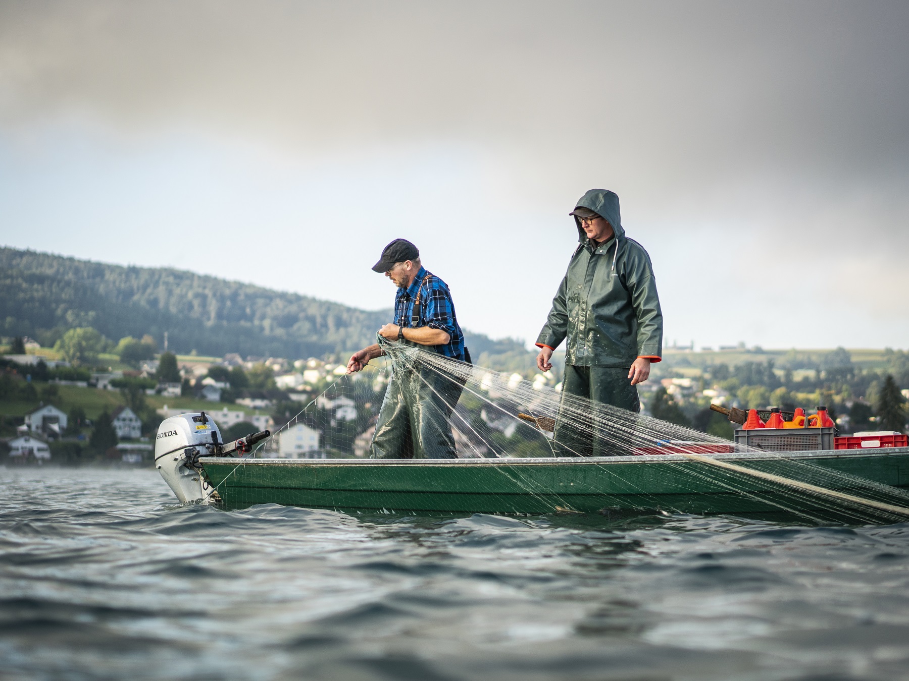 Bodensee-Fischwochen | Pressebild Fischer am Untersee